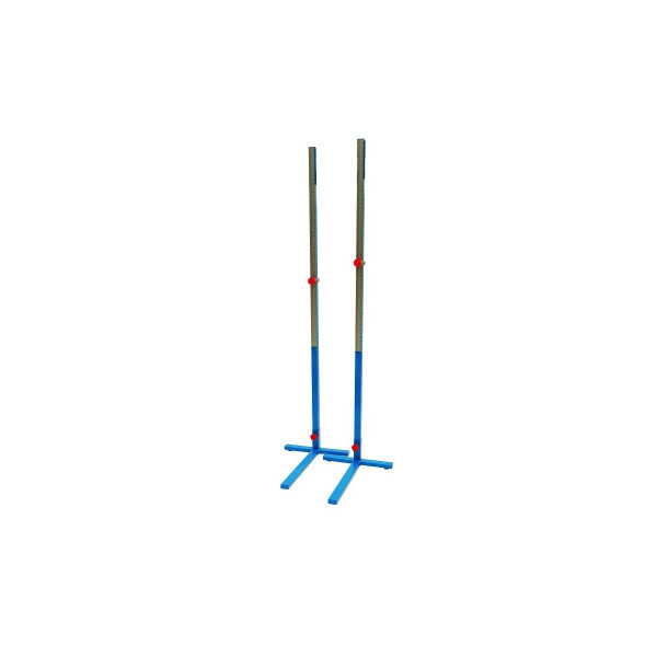 School high jump standards