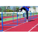 Special Educational Club hurdle Special Educational Club hurdle