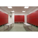 Locker-2 cells “Q” series