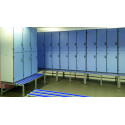 Locker-bench-2 cells “N” series