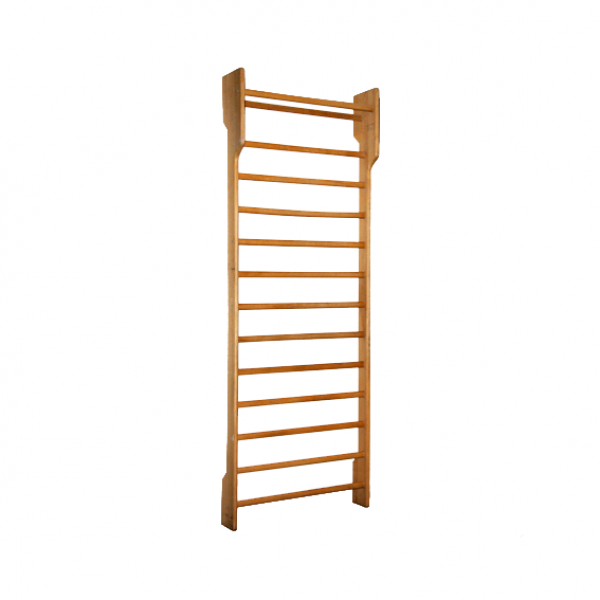 Gym wall-bar (single) EXP 250 x 90 cm 