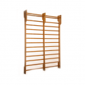 Gym wall-bar (double) EXP 250 x 180 cm
