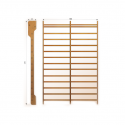 Gym wall-bar (double) EXP 250 x 180 cm