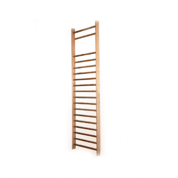 Gym wall-bar (single) ECO 300 x 90 cm 