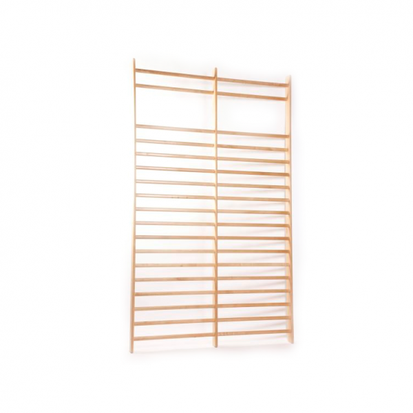 Gym wall-bar (double) ECO 300 x 180 cm 