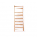 Gym wall-bar (single) ECO 250 x 90 cm 