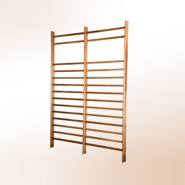 Gym wall-bar (double) ECO 250 x 180 cm