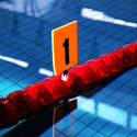 Swimming line number